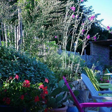 Maison D'Hotes Lou Cliou Cliousclat Екстер'єр фото